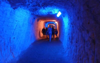 WAKACJE Z „LOKATOREM”